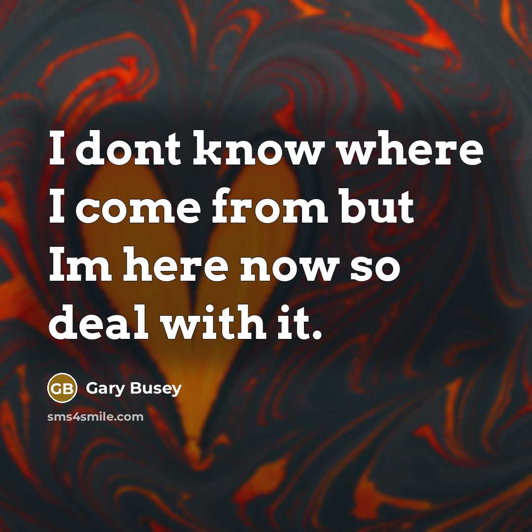 “I dont know where I come from but Im here now so deal with it.” quote by Gary Busey
