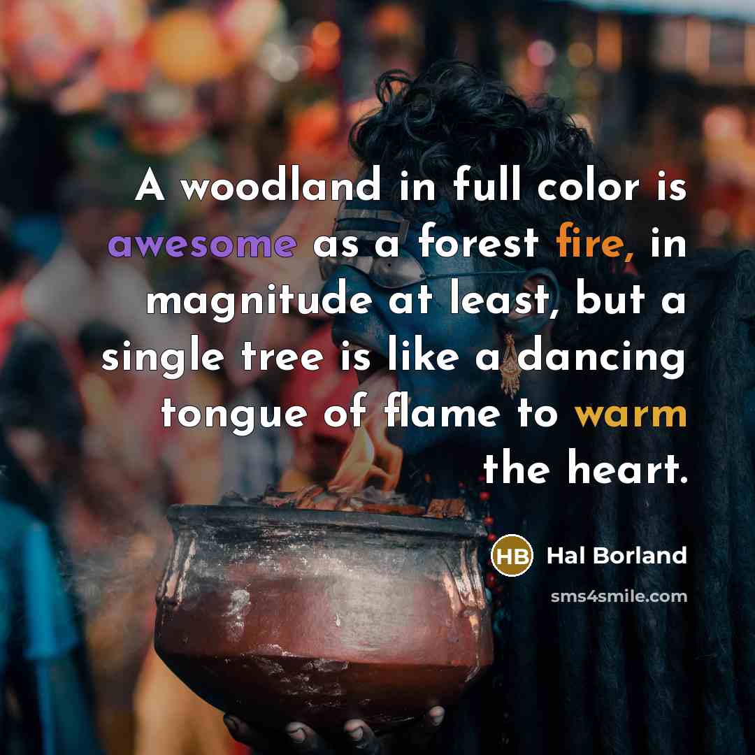“A woodland in full color is awesome as a forest…” quote by Hal Borland