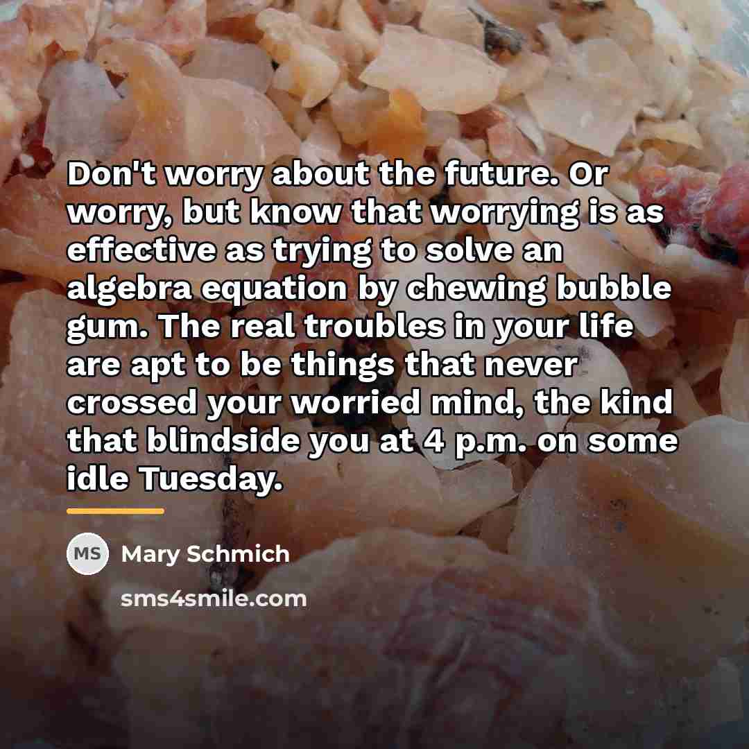 “Don't worry about the future. Or worry, but know that…” quote by Mary Schmich