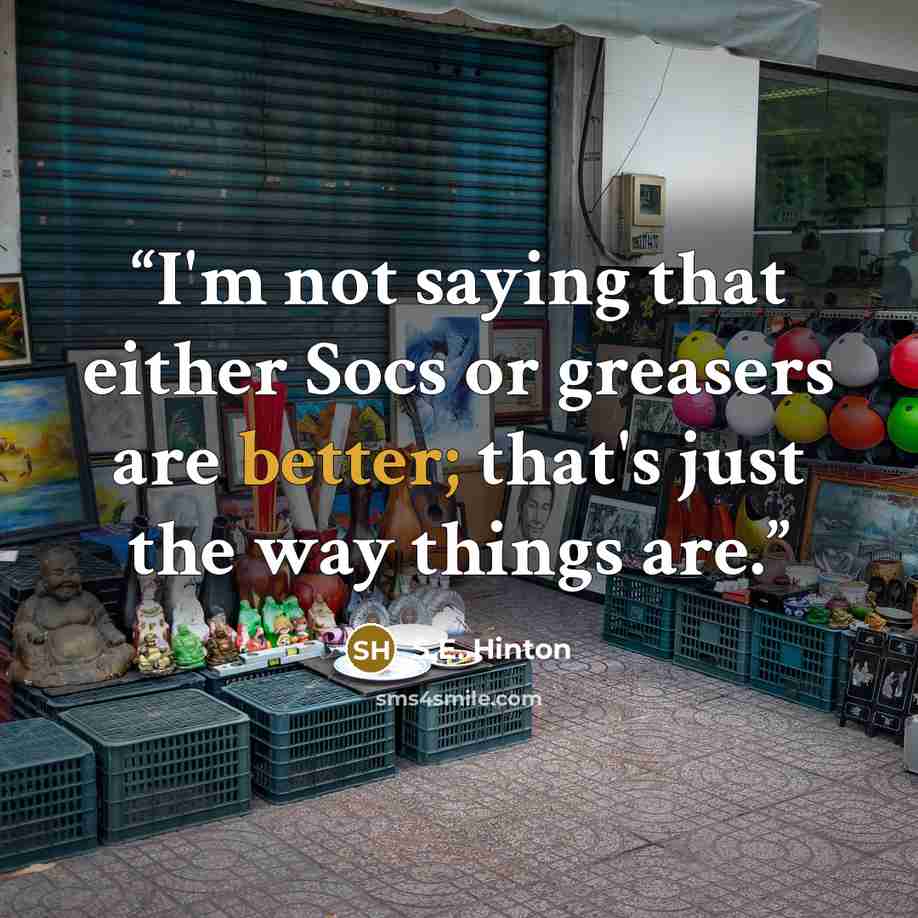 “I'm not saying that either Socs or greasers are better; that's just the way things are.” quote by S.E. Hinton