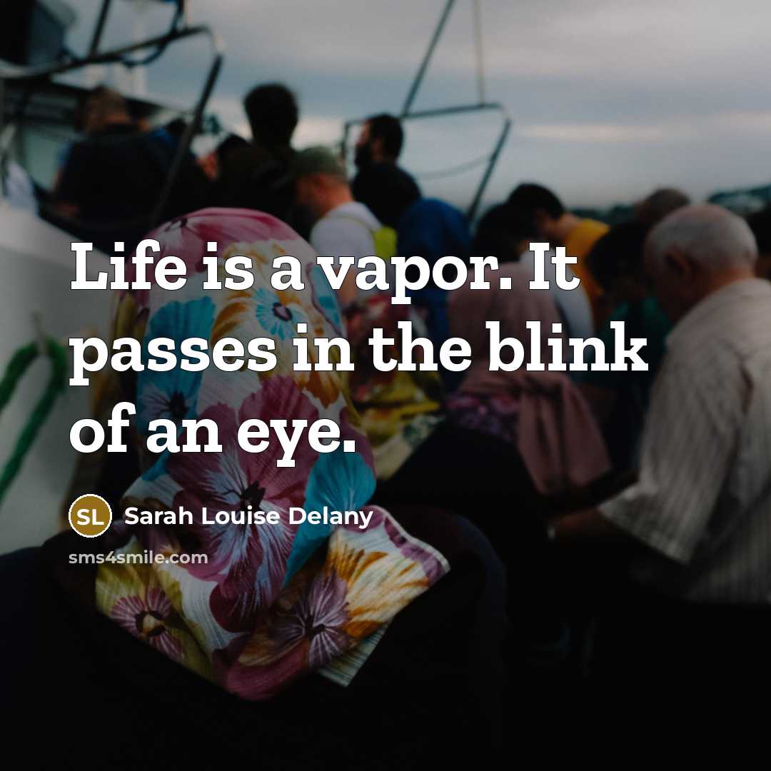 “Life is a vapor. It passes in the blink of…” quote by Sarah Louise Delany