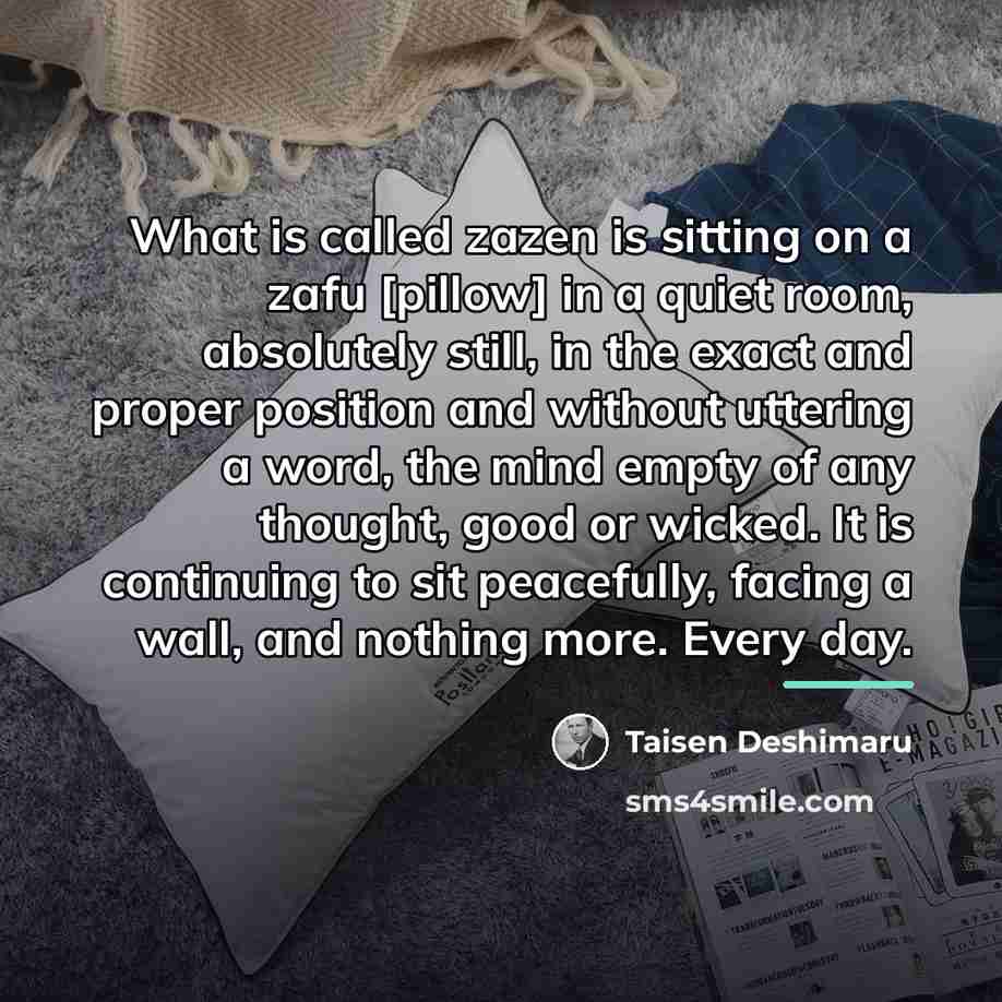 “What is called zazen is sitting on a zafu [pillow]…” quote by Taisen Deshimaru
