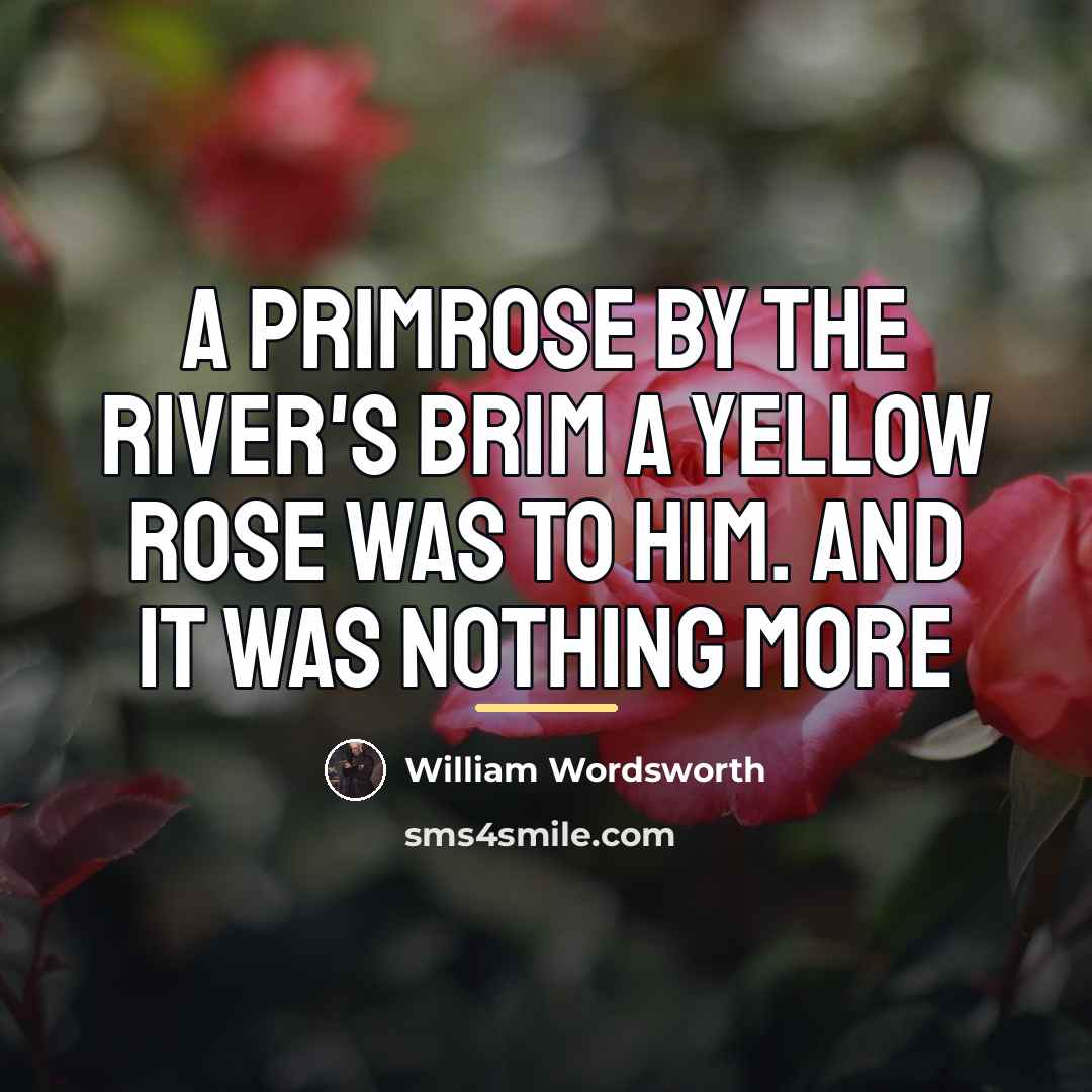“A primrose by the river's brim A yellow rose was…” quote by William Wordsworth