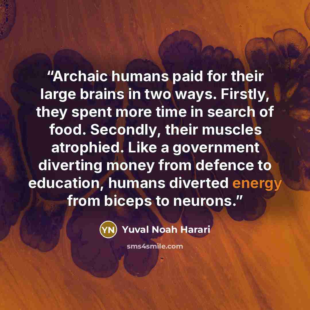 “Archaic humans paid for their large brains in two ways. Firstly, they spent more time in search of food. Secondly, their muscles atrophied. Like a government diverting money from defence to education, humans diverted energy from biceps to neurons.” quote by Yuval Noah Harari