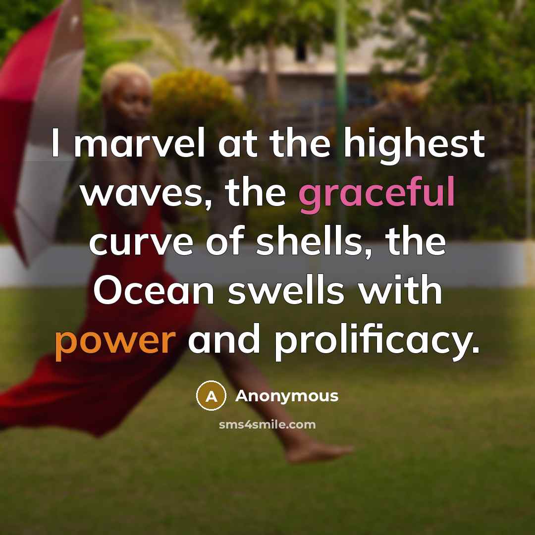“I marvel at the highest waves, the graceful curve of shells, the Ocean swells with power and prolificacy.” quote by Anonymous
