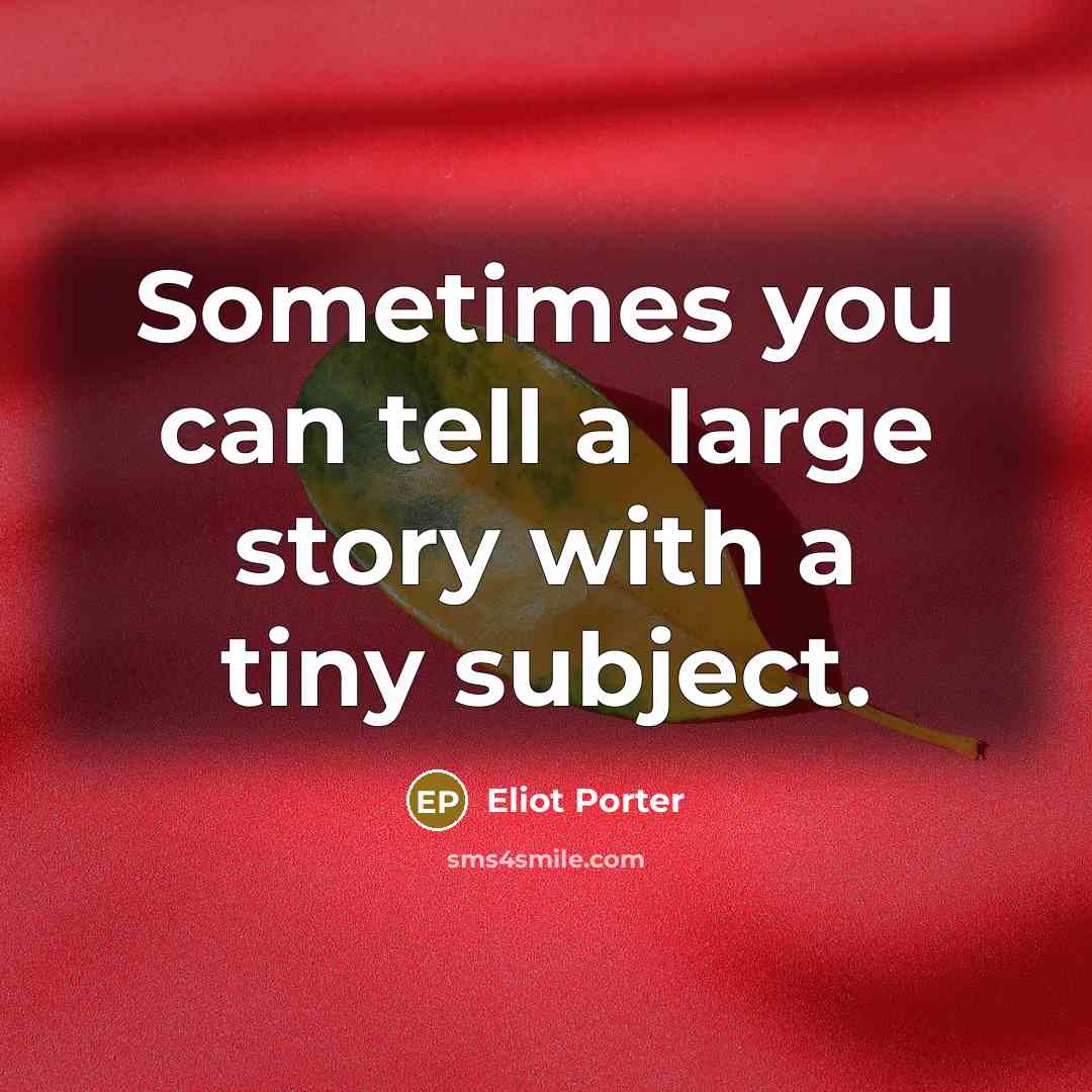 “Sometimes you can tell a large story with a tiny…” quote by Eliot Porter