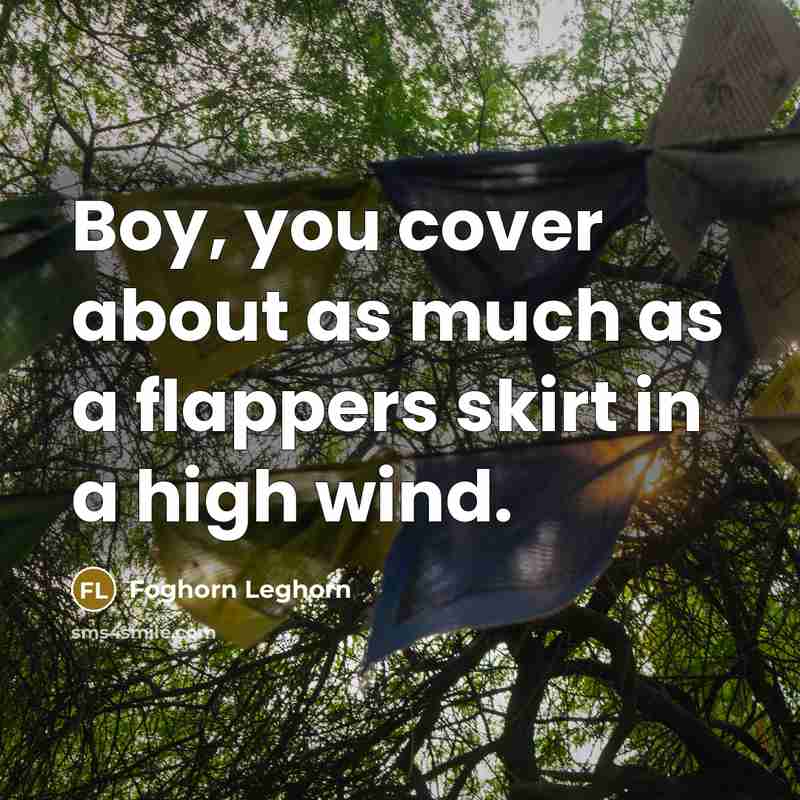 “Boy, you cover about as much as a flappers skirt in a high wind.” quote by Foghorn Leghorn