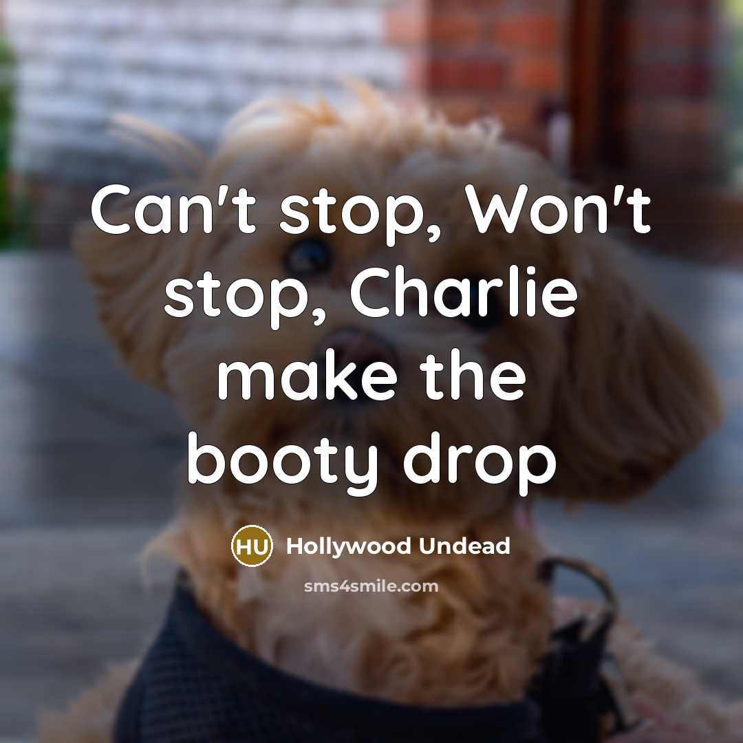 “Can't stop, Won't stop, Charlie make the booty drop…” quote by Hollywood Undead