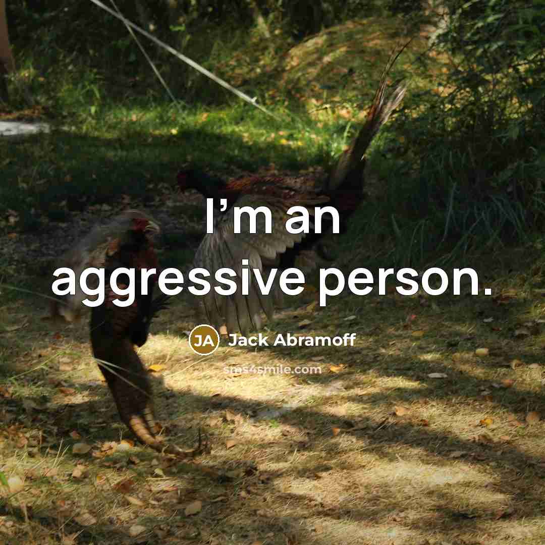 “I'm an aggressive person.…” quote by Jack Abramoff