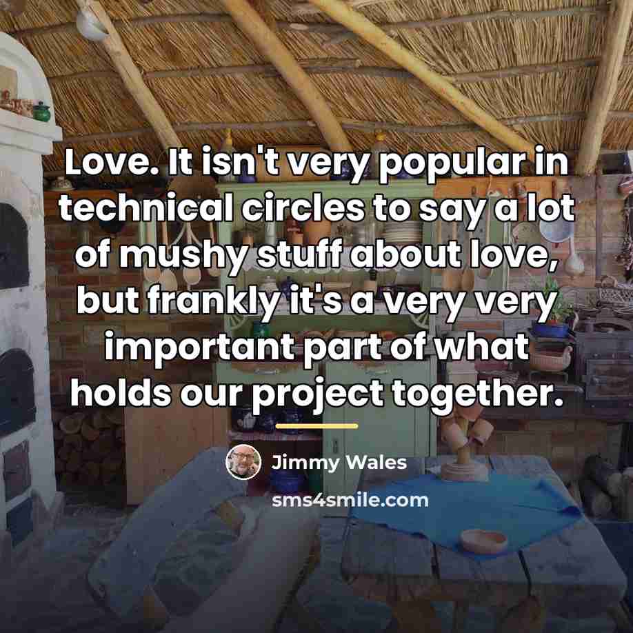 “Love. It isn't very popular in technical circles to say…” quote by Jimmy Wales