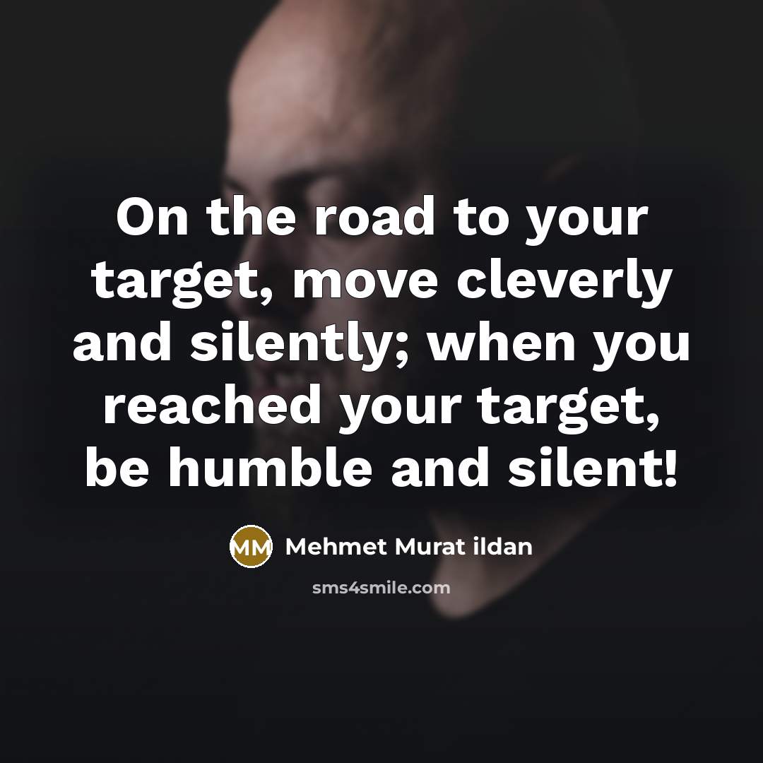 “On the road to your target, move cleverly and silently;…” quote by Mehmet Murat Ildan
