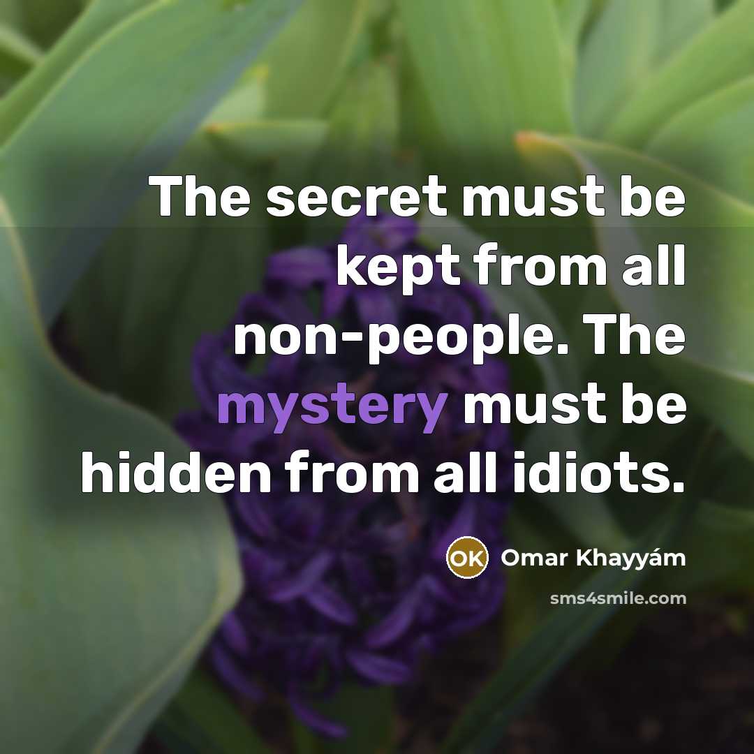 “The secret must be kept from all non-people. The mystery must be hidden from all idiots.” quote by Omar Khayyam