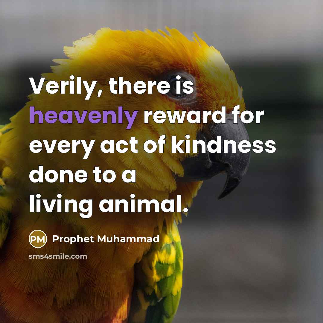 “Verily, there is heavenly reward for every act of kindness…” quote by Prophet Muhammad