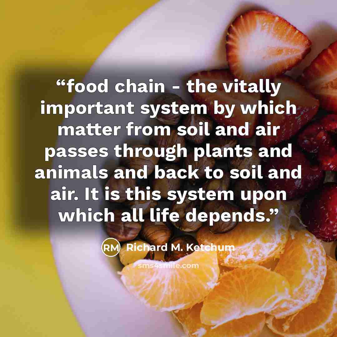 “food chain - the vitally important system by which matter from soil and air passes through plants and animals and back to soil and air. It is this system upon which all life depends.” quote by Richard M. Ketchum