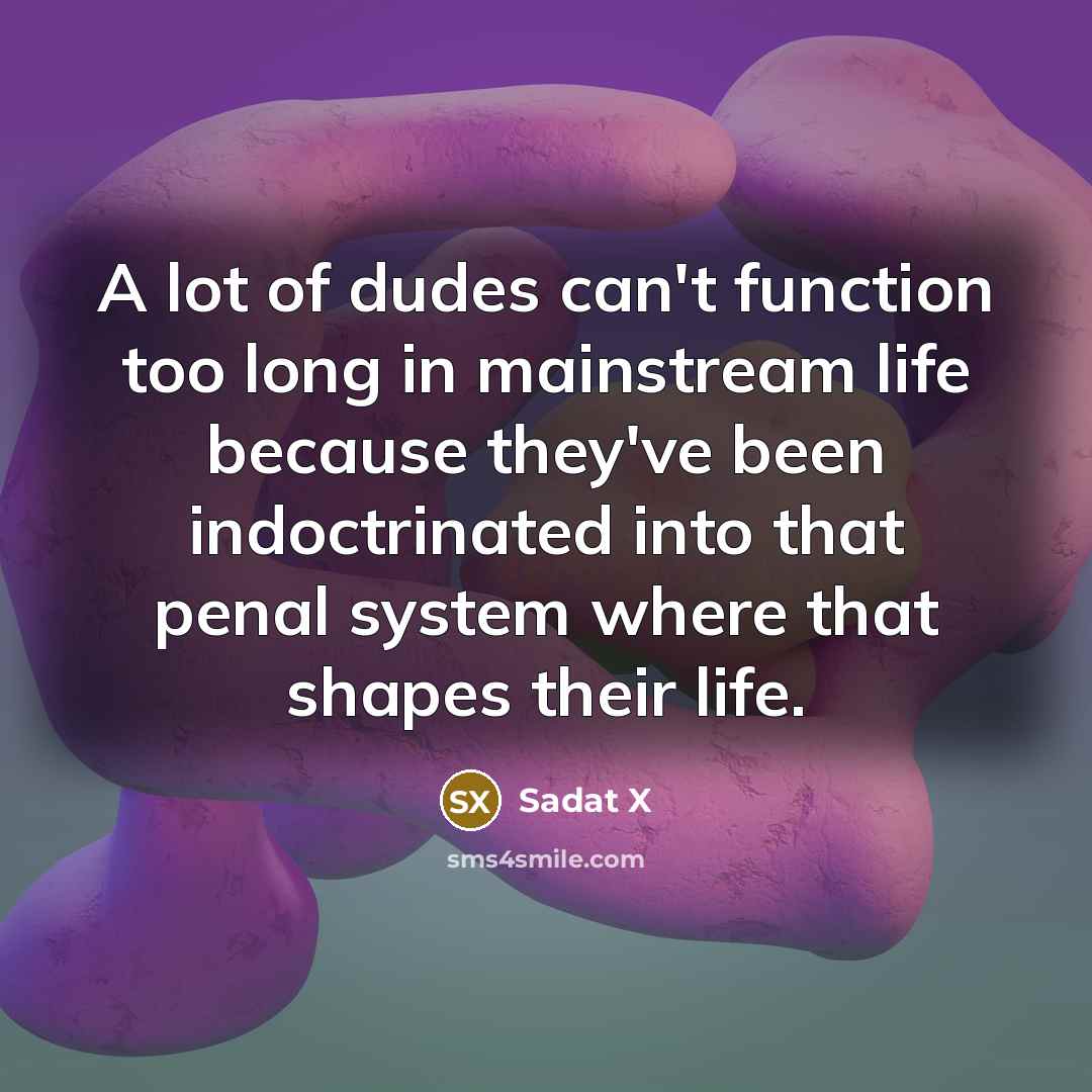 “A lot of dudes can't function too long in mainstream life because they've been indoctrinated into that penal system where that shapes their life.” quote by Sadat X