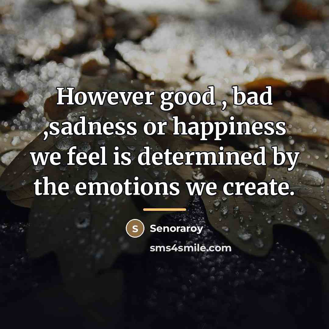 “However good , bad ,sadness or happiness we feel is…” quote by Senoraroy