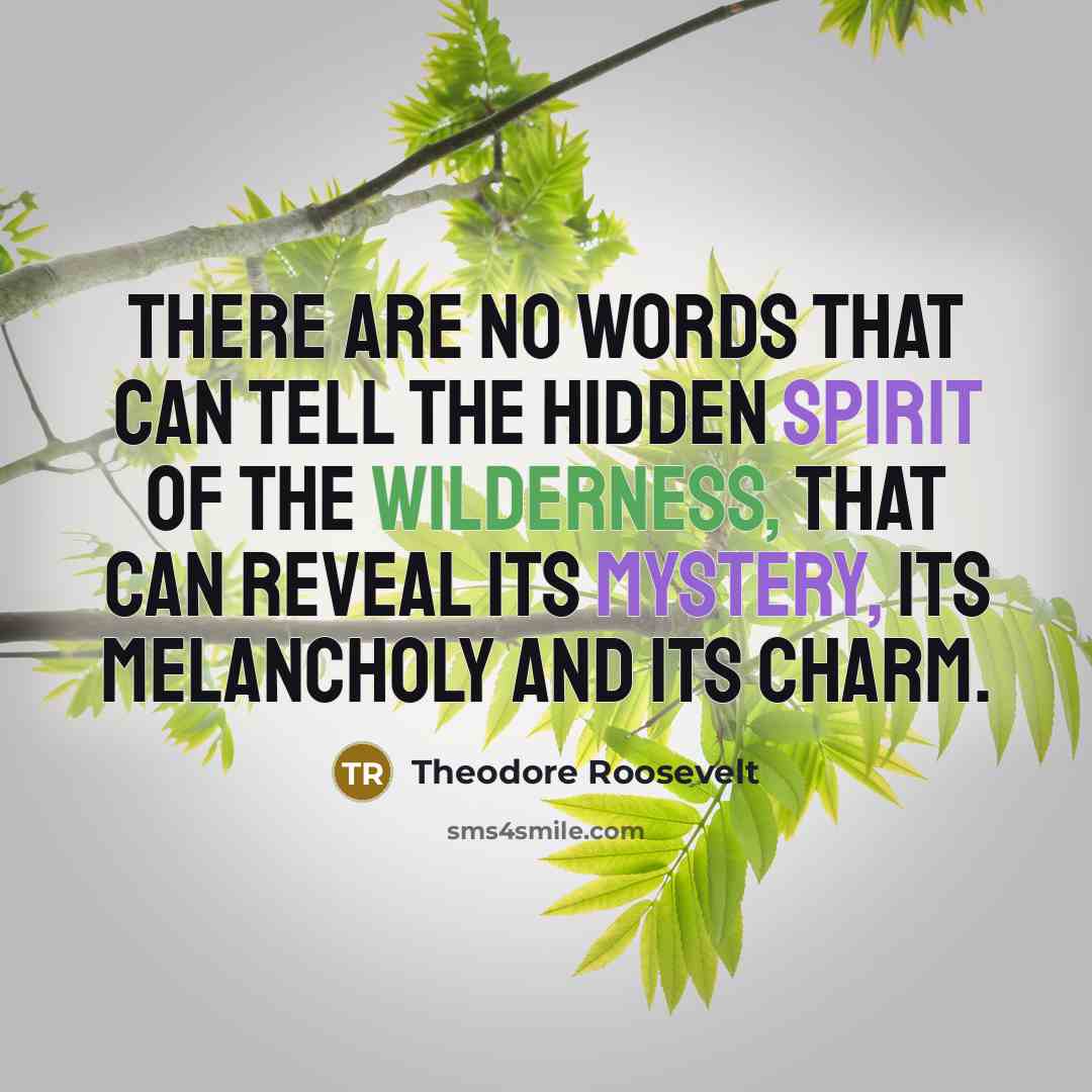 “There are no words that can tell the hidden spirit…” quote by Theodore Roosevelt