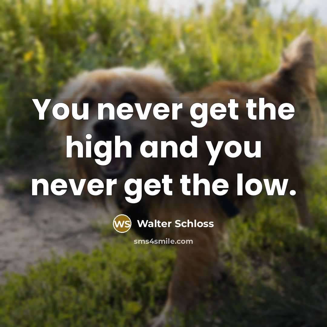 “You never get the high and you never get the…” quote by Walter Schloss