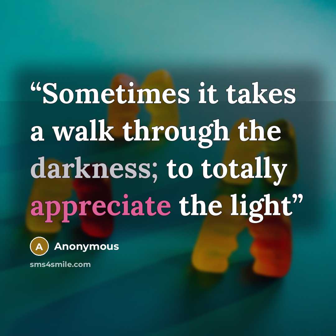 “Sometimes it takes a walk through the darkness; to totally appreciate the light” quote by Anonymous