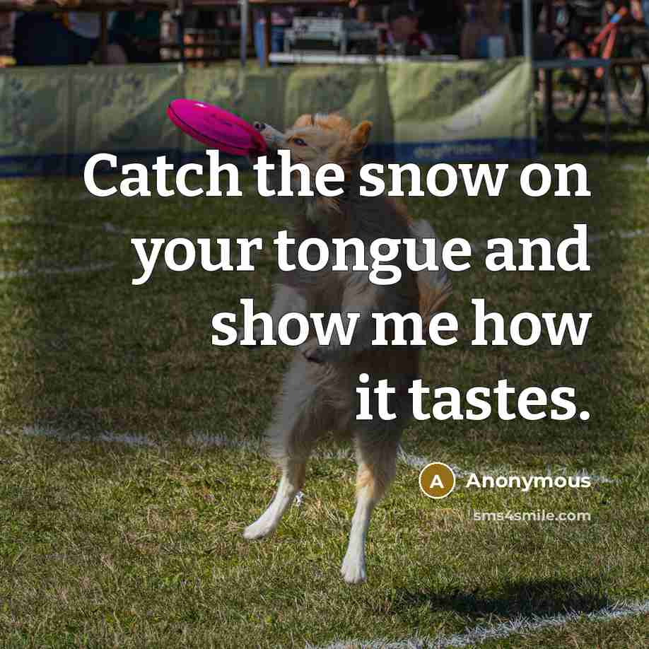 “Catch the snow on your tongue and show me how…” quote by Anonymous