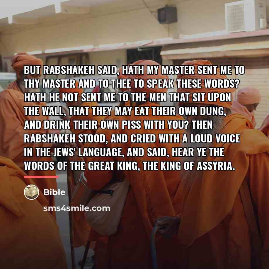 “But Rabshakeh said, Hath my master sent me to thy…” quote by Bible
