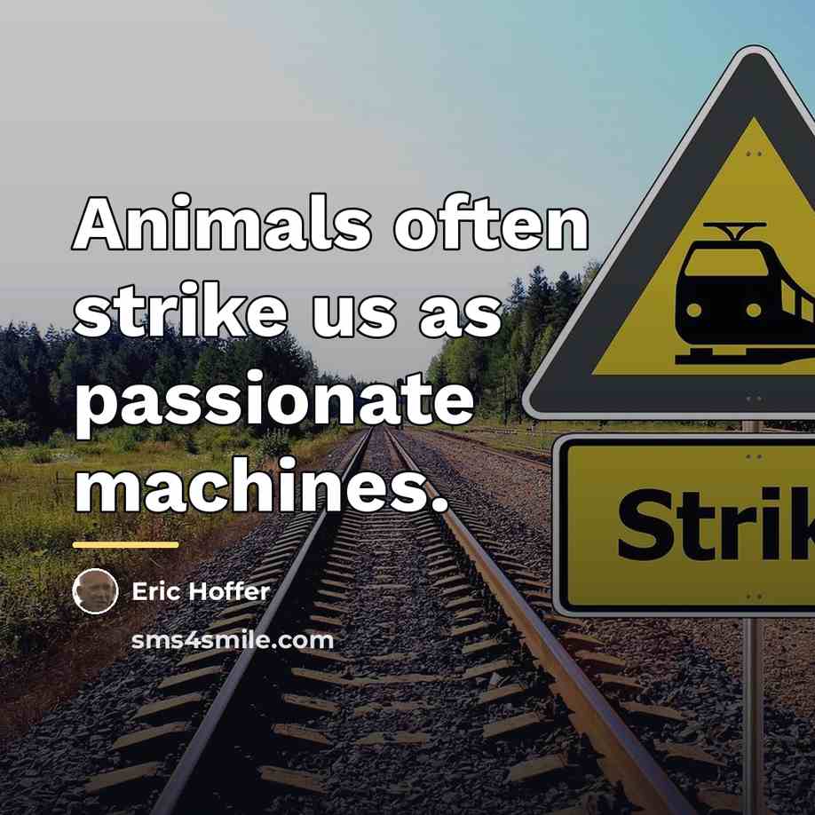 “Animals often strike us as passionate machines.…” quote by Eric Hoffer