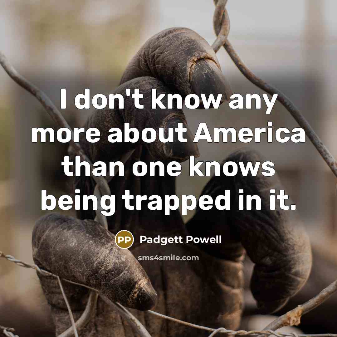 “I don't know any more about America than one knows…” quote by Padgett Powell