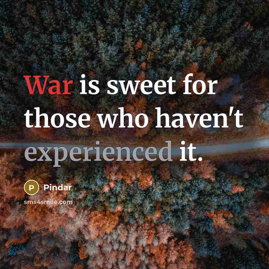 “War is sweet for those who haven't experienced it.” quote by Pindar