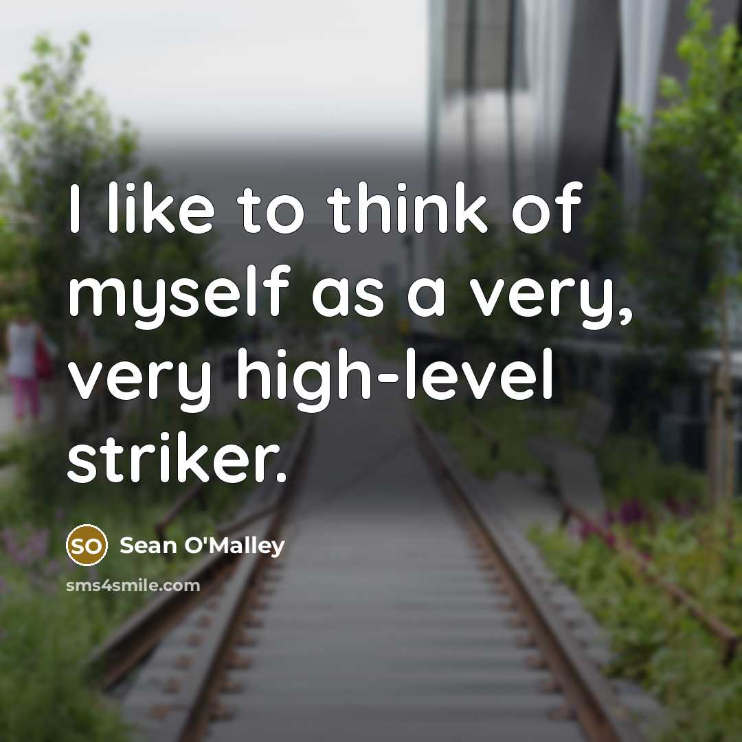 “I like to think of myself as a very, very…” quote by Sean O'Malley