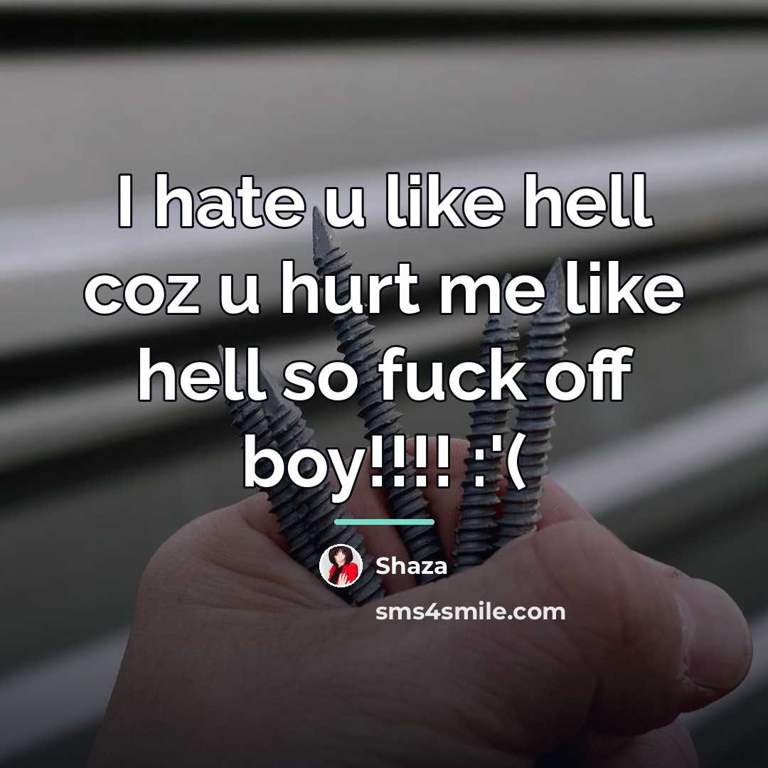 “I hate u like hell coz u hurt me like…” quote by Shaza