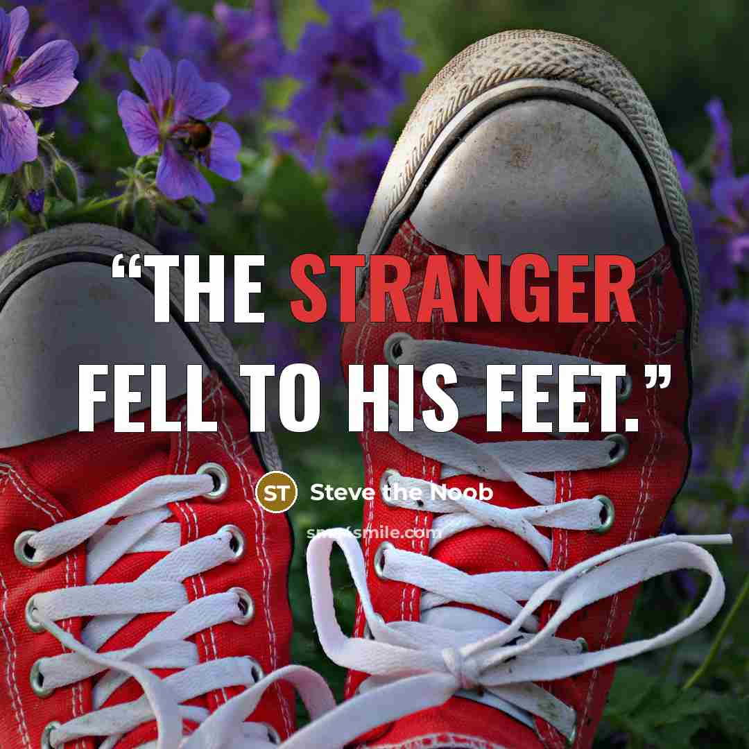 “The stranger fell to his feet.” quote by Steve the Noob