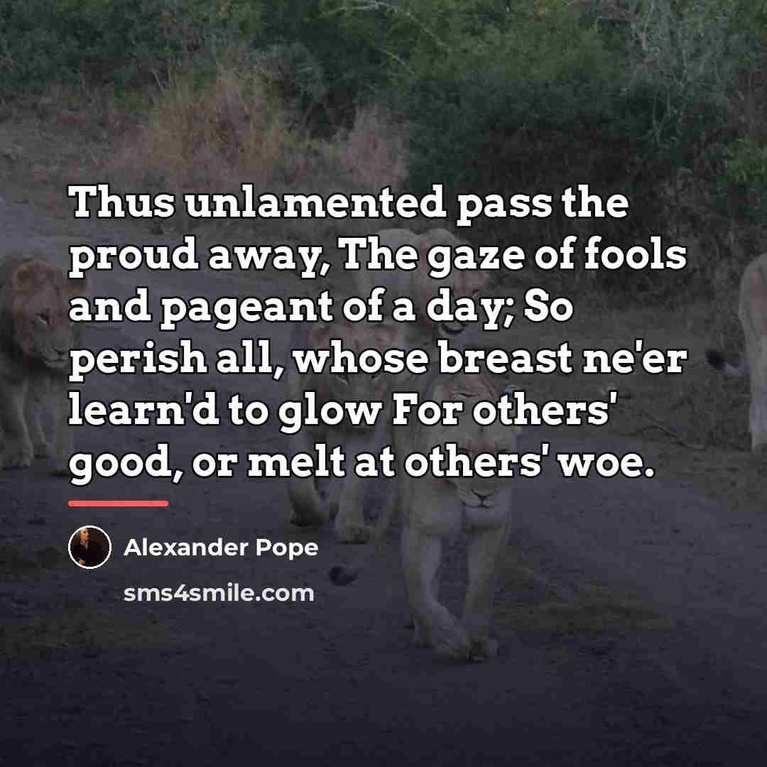 “Thus unlamented pass the proud away, The gaze of fools…” quote by Alexander Pope