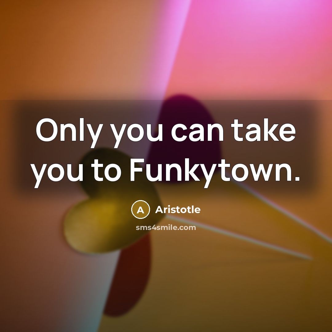 “Only you can take you to Funkytown.…” quote by Aristotle
