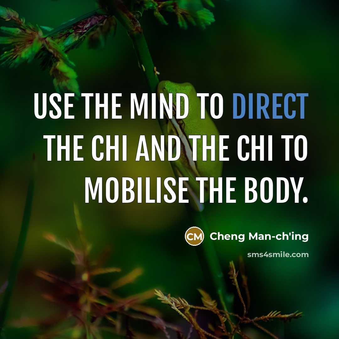 “Use the mind to direct the chi and the chi…” quote by Cheng Man-ch'ing