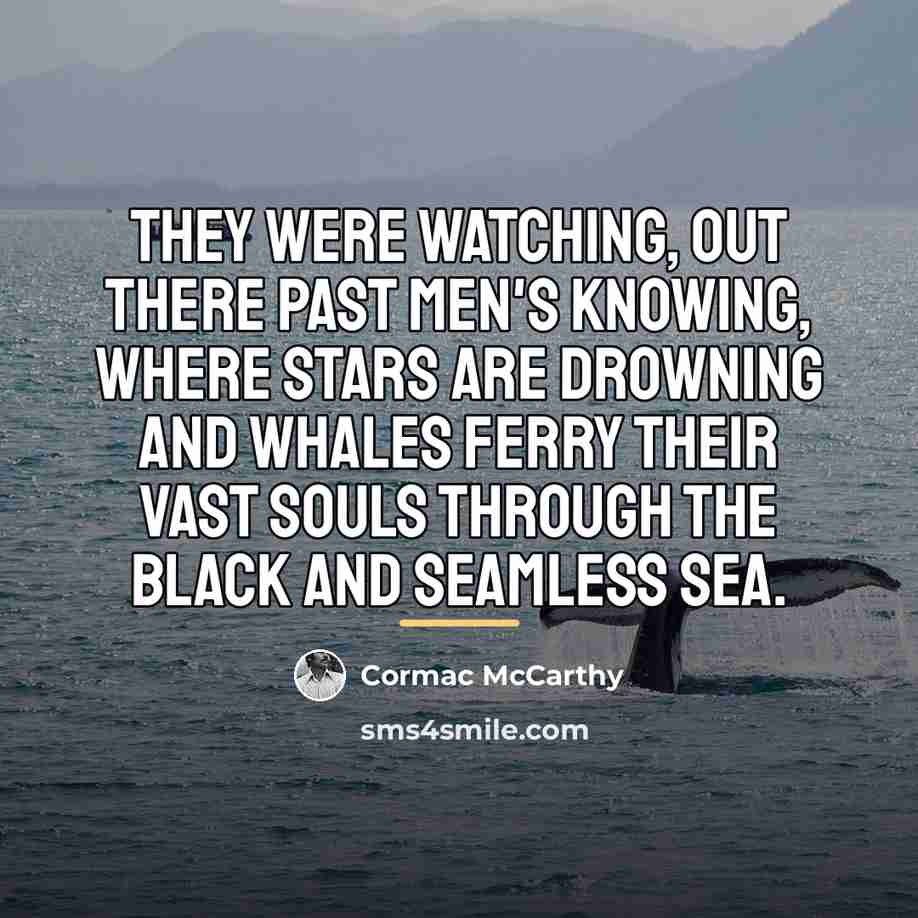 “They were watching, out there past men's knowing, where stars…” quote by Cormac McCarthy