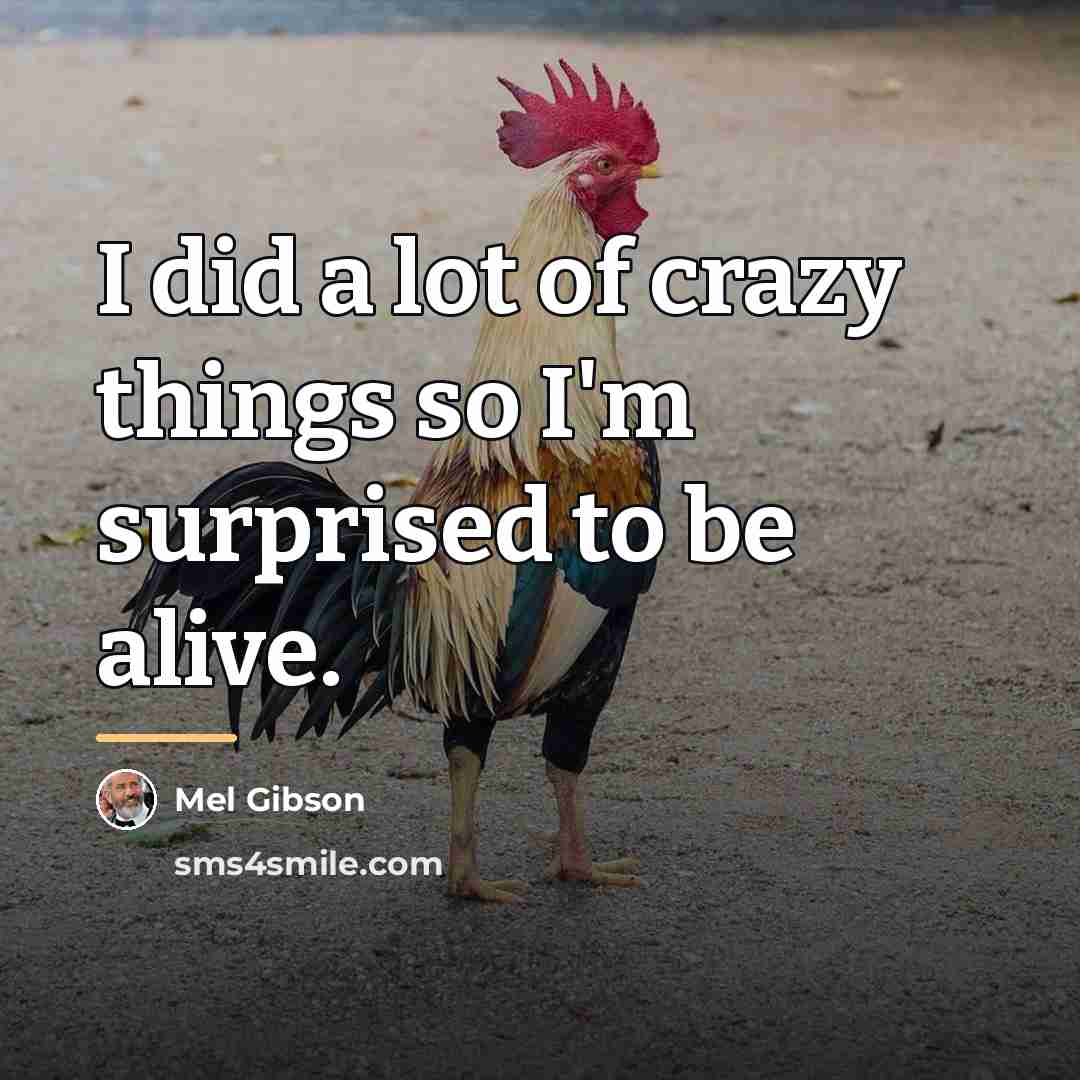 “I did a lot of crazy things so I'm surprised…” quote by Mel Gibson