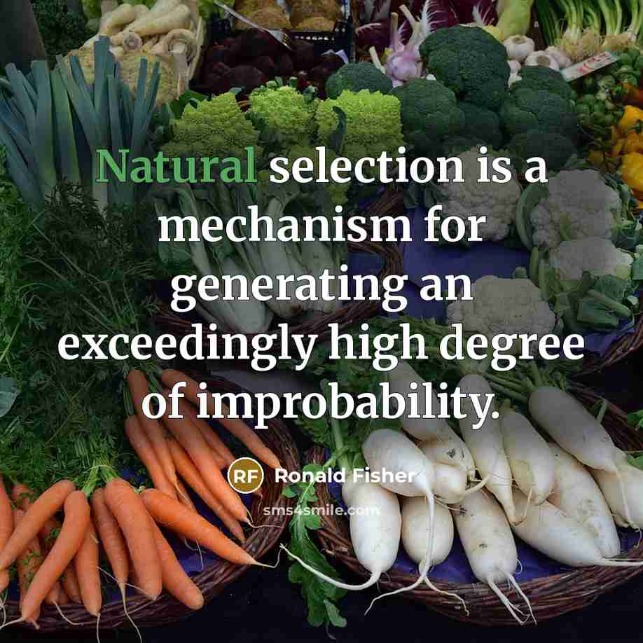 “Natural selection is a mechanism for generating an exceedingly high…” quote by Ronald Fisher