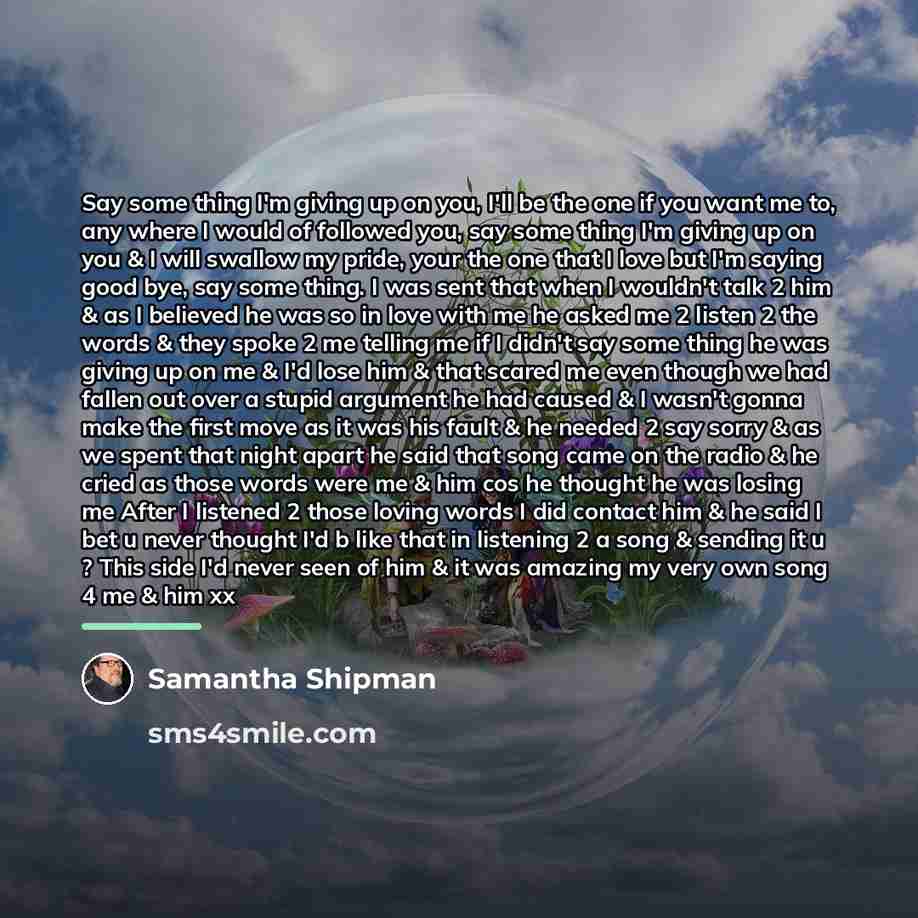 “Say some thing I'm giving up on you, I'll be…” quote by Samantha Shipman