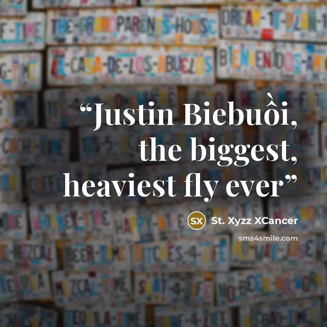 “Justin Biebuồi, the biggest, heaviest fly ever” quote by St. Xyzz XCancer