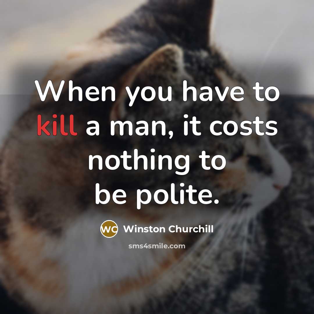 “When you have to kill a man, it costs nothing…” quote by Winston Churchill