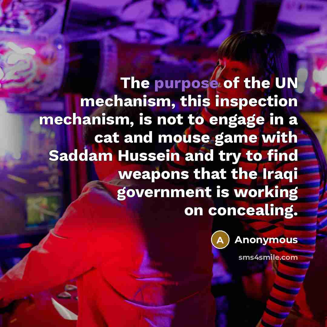 “The purpose of the UN mechanism, this inspection mechanism, is…” quote by Anonymous