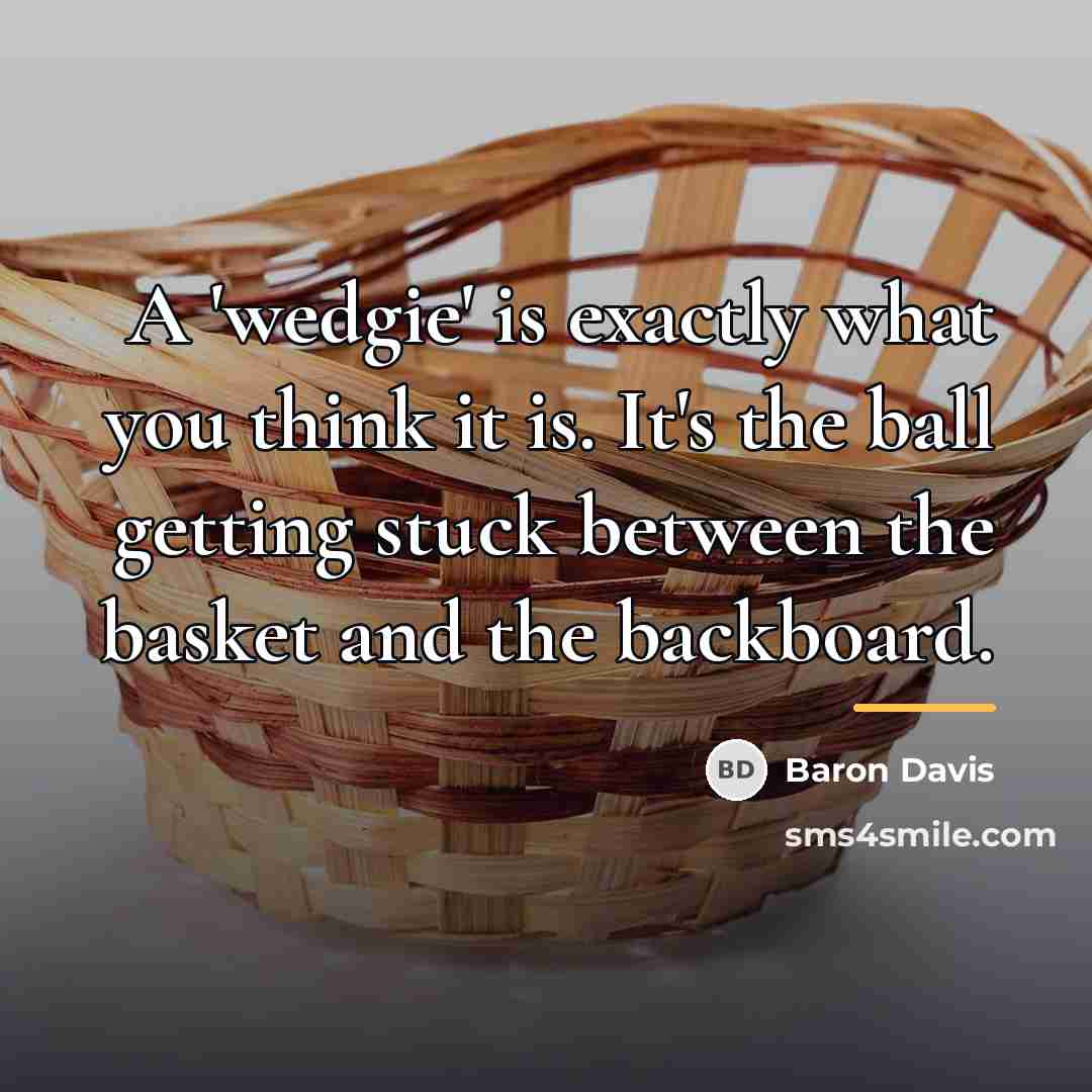 “A 'wedgie' is exactly what you think it is. It's…” quote by Baron Davis