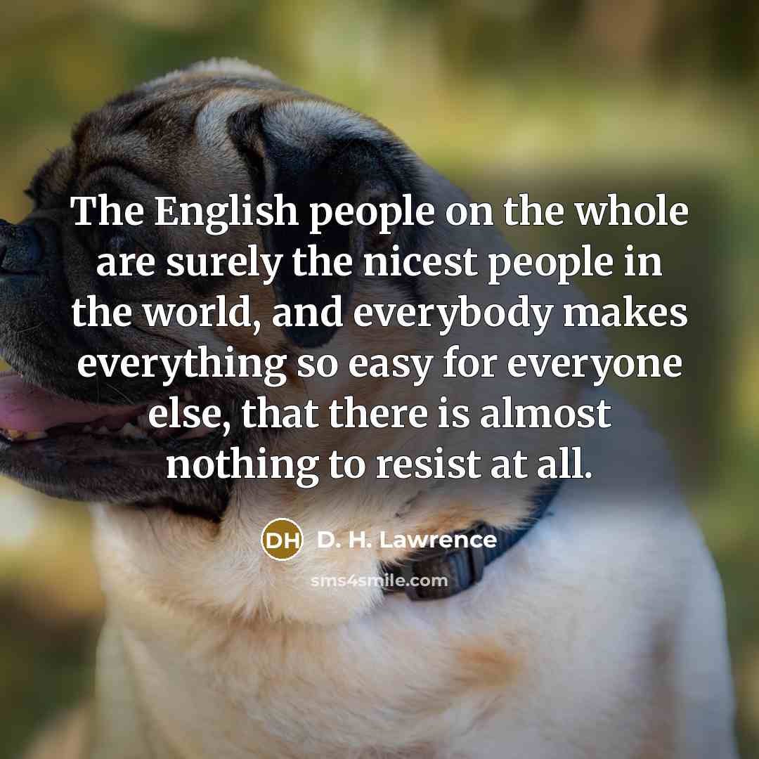“The English people on the whole are surely the nicest…” quote by D. H. Lawrence