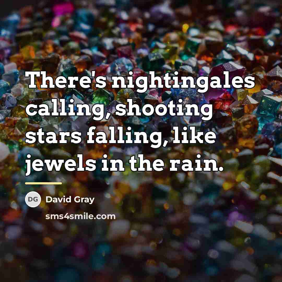 “There's nightingales calling, shooting stars falling, like jewels in the…” quote by David Gray
