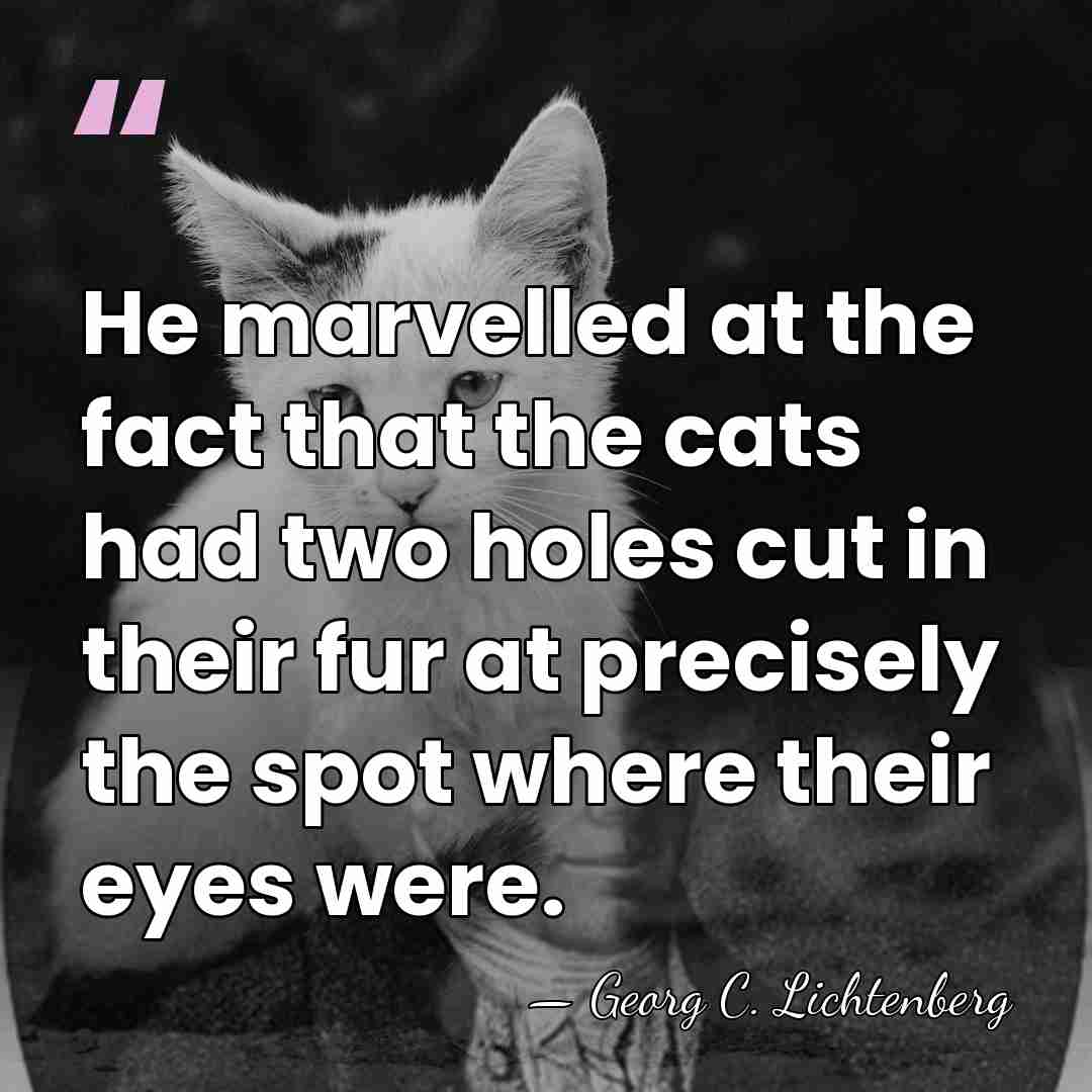 He marvelled at the fact that the cats had two holes cut&hellip; - Georg C. Lichtenberg