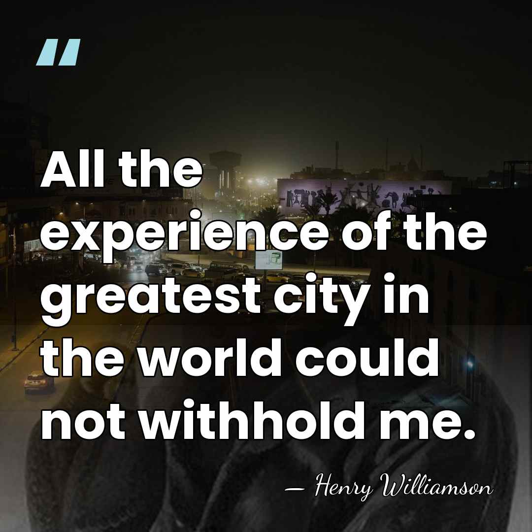 All the experience of the greatest city in the world could not&hellip; - Henry Williamson