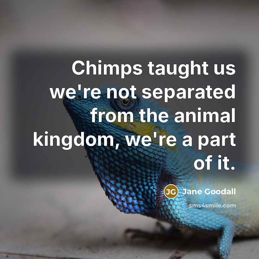 “Chimps taught us we're not separated from the animal kingdom,…” quote by Jane Goodall