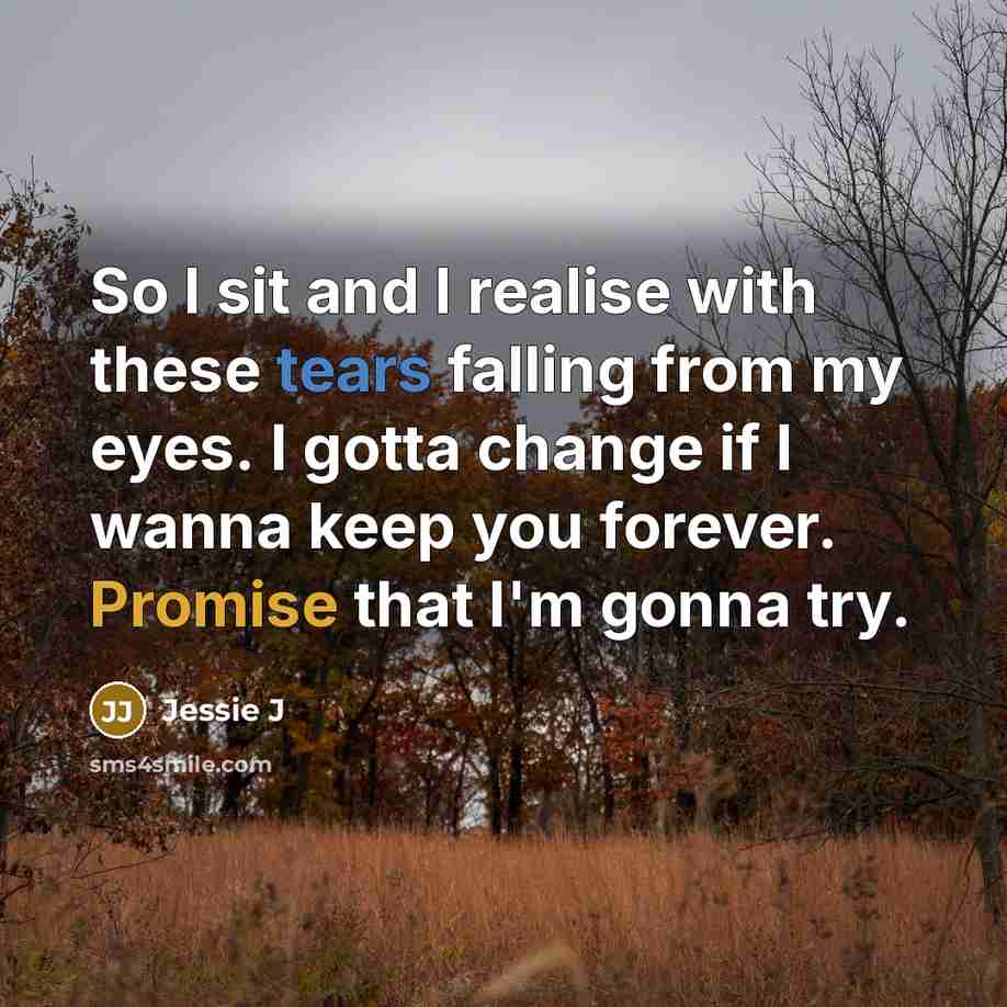 “So I sit and I realise with these tears falling from my eyes. I gotta change if I wanna keep you forever. Promise that I'm gonna try.” quote by Jessie J