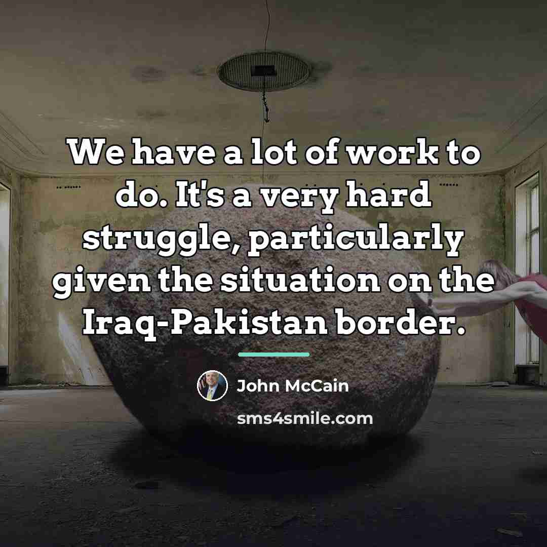 “We have a lot of work to do. It's a…” quote by John McCain