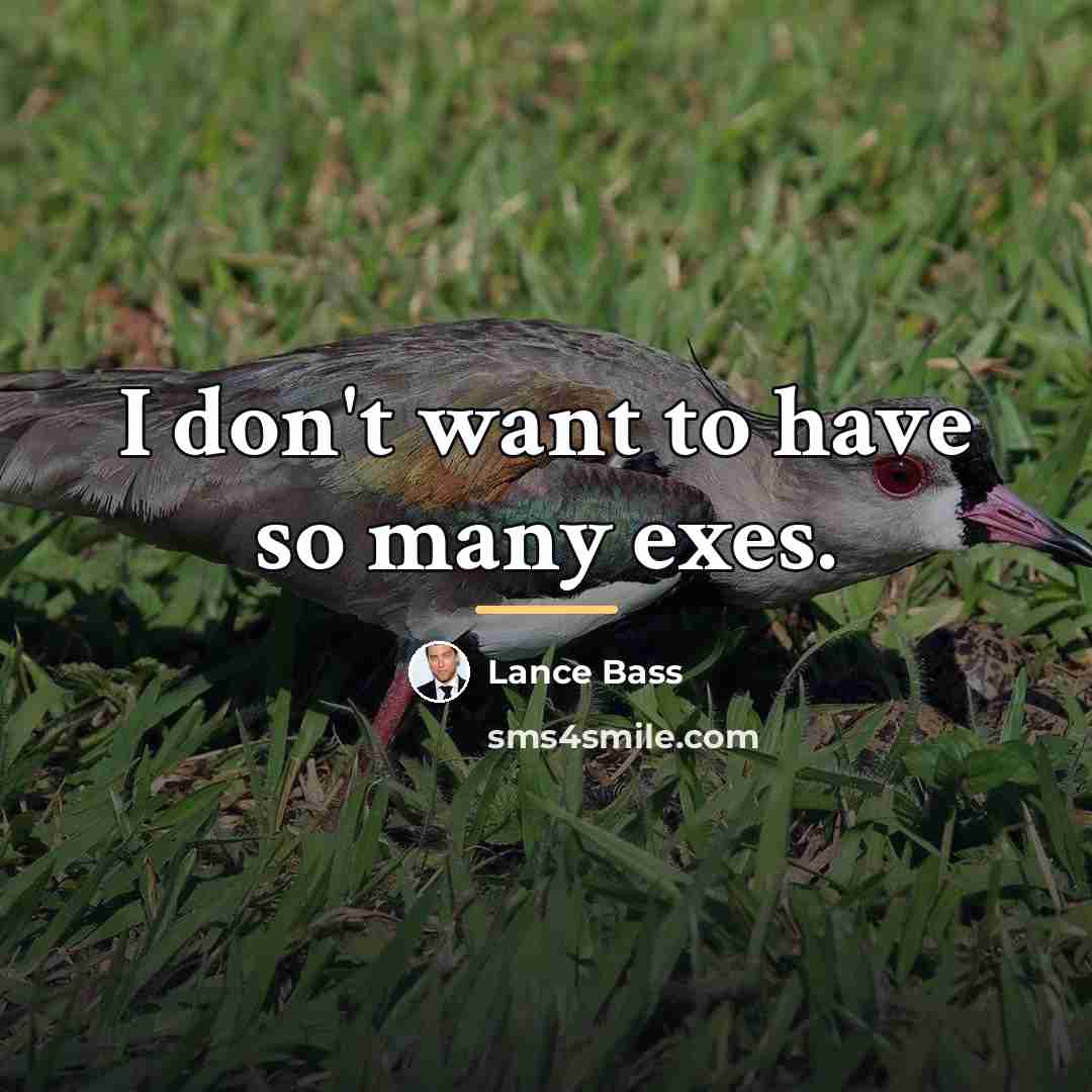 “I don't want to have so many exes.…” quote by Lance Bass